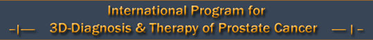 International Program for 3-D Diagnosis & Therapy of Prostate Cancer